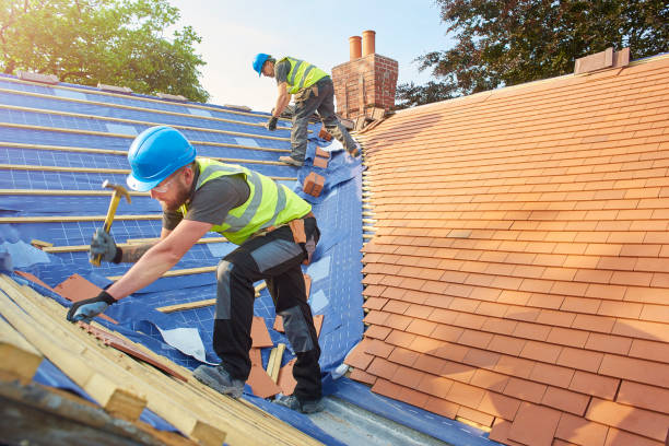 Best Roof Ventilation Installation  in Alamosa East, CO